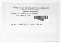 Image Associated With the Occurence